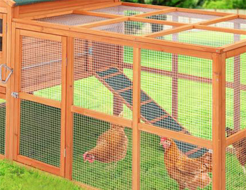 Caixa de nido para galiñas do xardín traseiro (3)