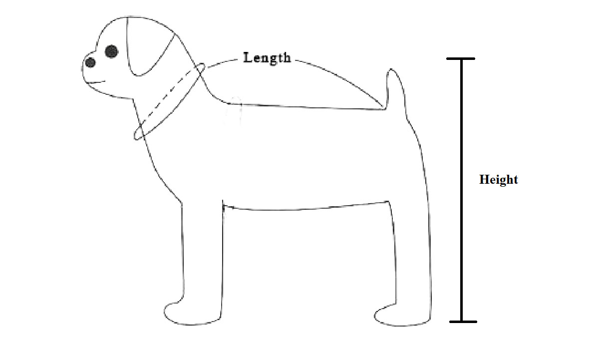 Comu sceglie una casa di cane adatta (2-2)