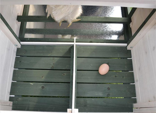 Chicken Coop Outdoor Wooden Chicken Coop Multi-Level Hen House (7)