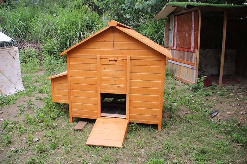 Outdoor Hen House with Removable Bottom for Easy Cleaning, Weatherproof Poultry Cage, Rabbit Hutch, Wood Duck House